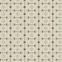 Similar image 1532302