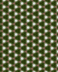 Similar image 1532688