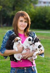 Similar image 1532745