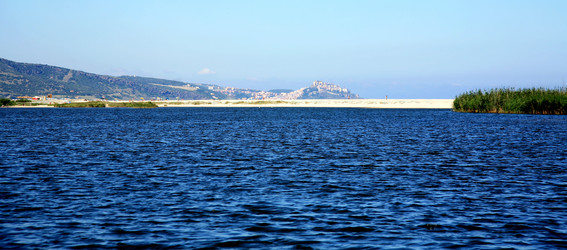 Similar image 1532790