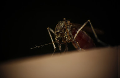 Similar image 1532799