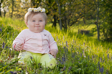 Similar image 1532803