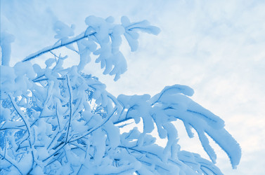 Similar image 1532807