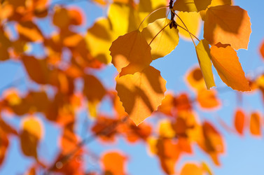 Similar image 1532808