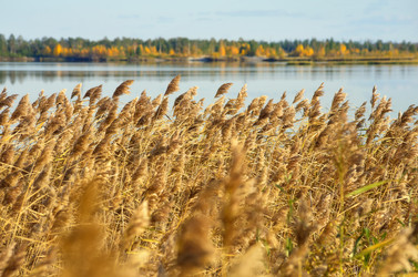 Similar image 1532813