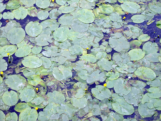 Similar image 1532822