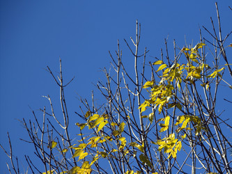 Similar image 1532846