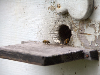 Similar image 1532848