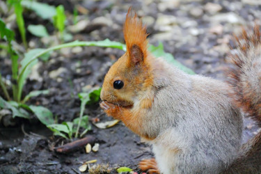 Similar image 1532902