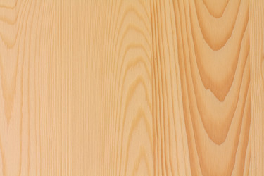 Similar image 1532929