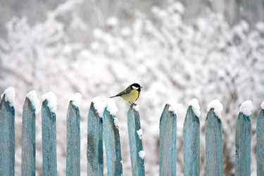 Similar image 1532932