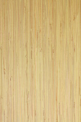 Similar image 1532937