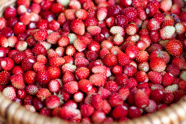 Similar image 1532940