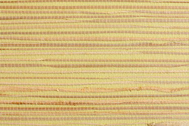 Similar image 1532943