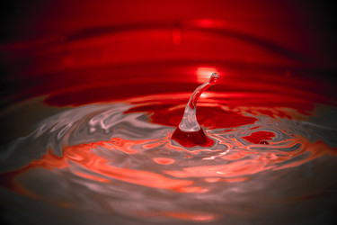 Similar image 1533020