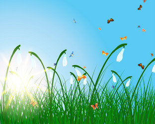 Similar image 1533062