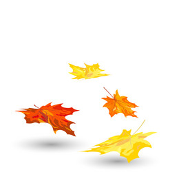 Similar image 1533063