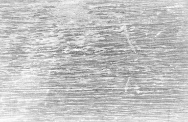 Similar image 1533076