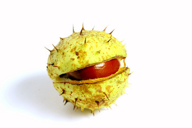 Similar image 1533125