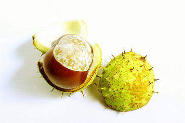 Similar image 1533127