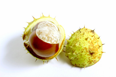 Similar image 1533128