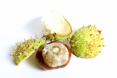 Similar image 1533130