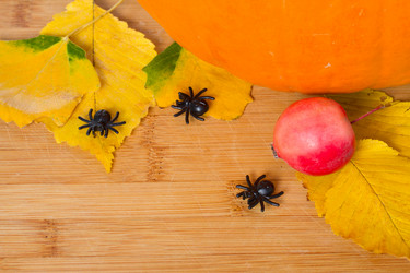 Similar image 1533141