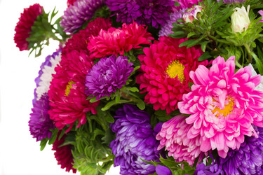 Similar image 1533143