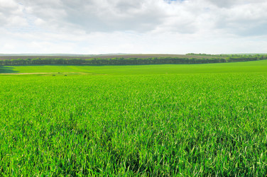 Similar image 1533173