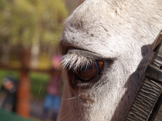 Similar image 1533183