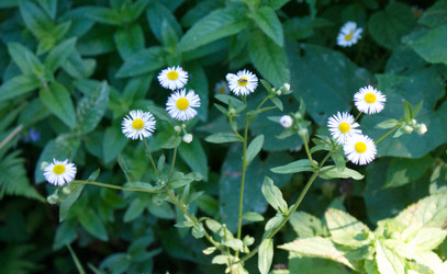 Similar image 1533184