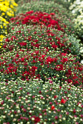 Similar image 1533197