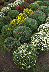 Similar image 1533199