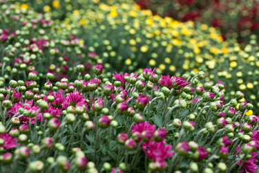 Similar image 1533200