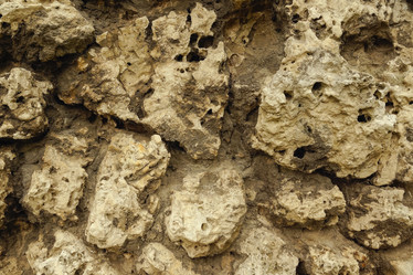 Similar image 1533230