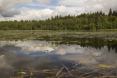 Similar image 1533231