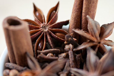 Similar image 1533255