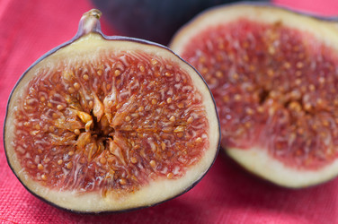 Similar image 1533262