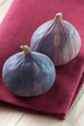 Similar image 1533263