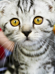 Similar image 1533298