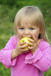 Similar image 1533303