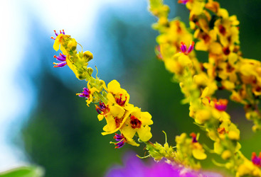 Similar image 1533304