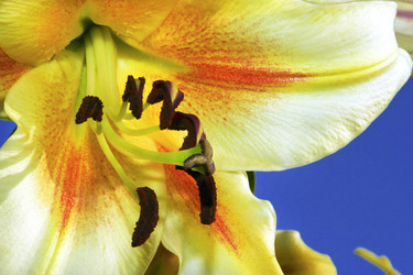 Similar image 1533309