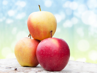 Similar image 1533311