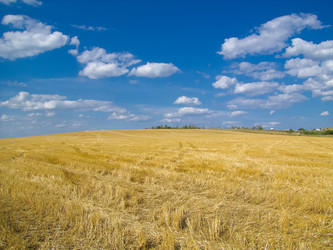 Similar image 1533322