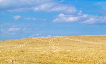 Similar image 1533323