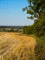 Similar image 1533324