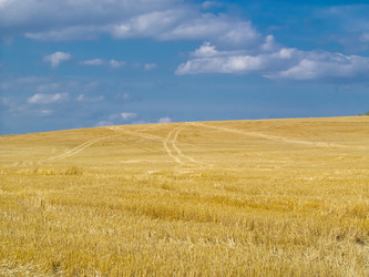 Similar image 1533326