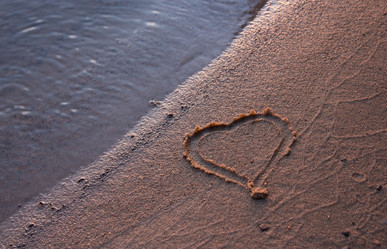 Similar image 1533329