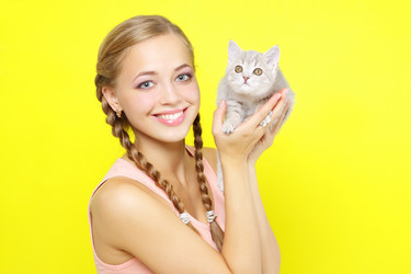 Similar image 1533337